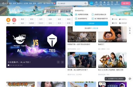 哔哩哔哩(B站)
